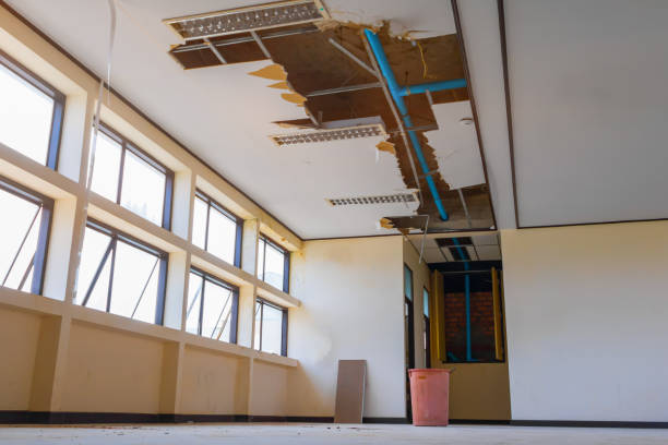Best Ceiling water damage repair  in Ogden, UT