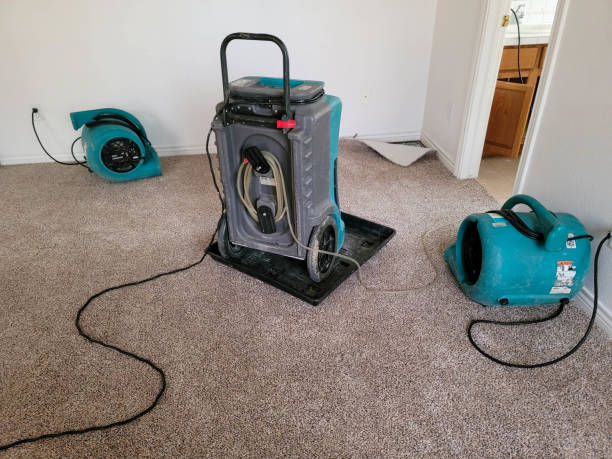 Ogden, UT Water damage restoration Pros