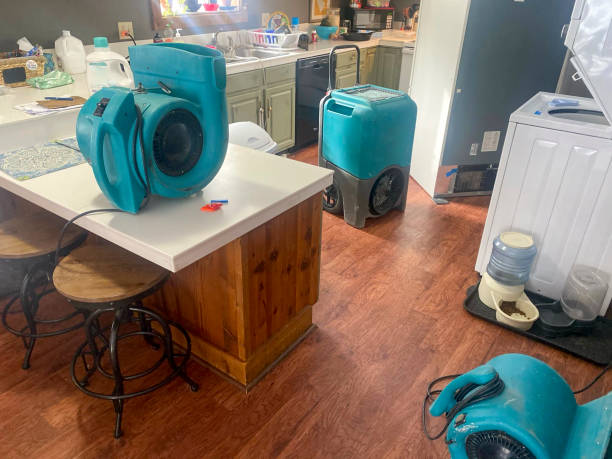 Best Carpet water damage restoration  in Ogden, UT