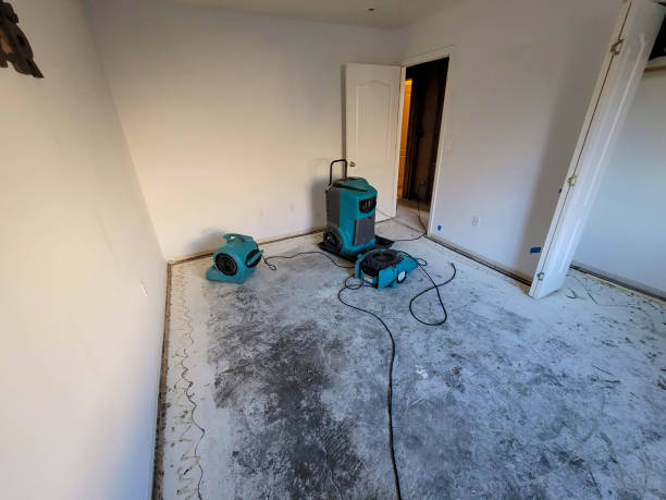 Best Water damage restoration cost  in Ogden, UT