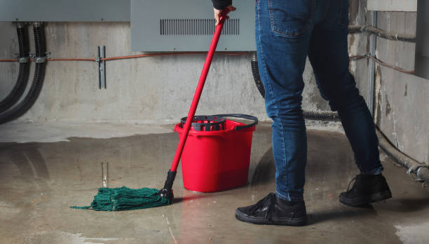 Best Water damage restoration near me  in Ogden, UT