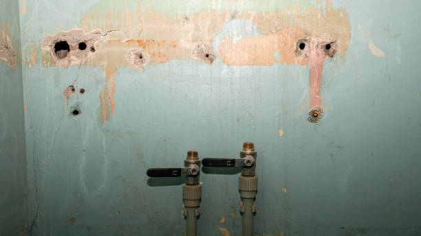 Best Local water damage restoration  in Ogden, UT
