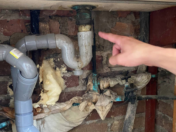 Best 24/7 water damage repair  in Ogden, UT