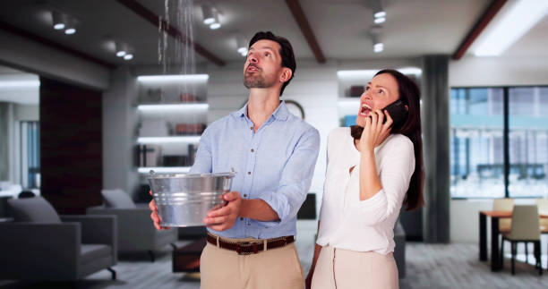 Carpet water damage restoration in Ogden, UT