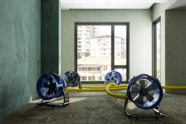 Professional Water damage restoration in Ogden, UT
