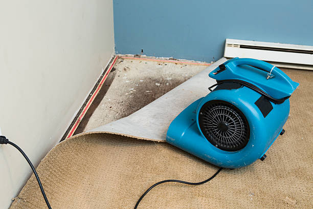 Best Ceiling water damage repair  in Ogden, UT