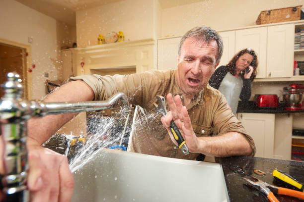Best Fire Damage Restoration  in Ogden, UT